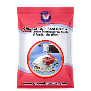 Dairy Cattle : Grow-Cal D3 – Feed Premix :  Calcium And Minerals Feed Premix