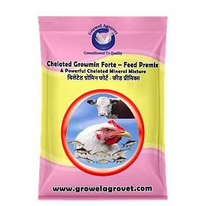 Dairy Cattle : Chelated Growmin Forte- Feed Premix: Chelated Minerals Mixture