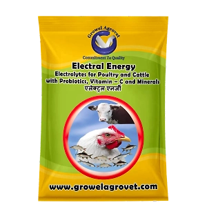 Dairy Cattle : Electral Energy – Electrolytes  with Vitamins, Minerals And Probiotics