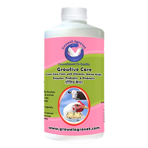 Dairy Cattle : Growlive  Care – Liver Tonic with Vitamins, Amino Acids, Probiotics, and Liver Stimulants