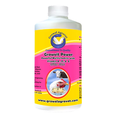 growel agrovet dairy cattle : growvit power – a powerful multivitamins (vitamin ad3e)