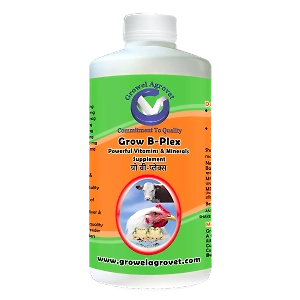 Dairy Cattle : Grow B-Plex – Vitamin B-Plex For Poultry : With 19 Vitamin E, Vitamin -C, Amino Acids And Minerals