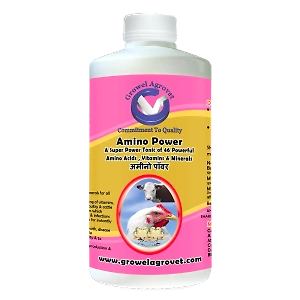 Dairy Cattle : Amino Power – A combination of  46 Amino Acids, Vitamins, and Minerals for Growth and Immunity