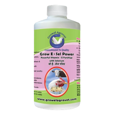 Grow E-Sel Power – Vitamin E Fortified With Selenium