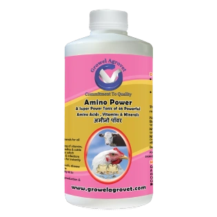 Poultry : Amino Power – A combination of 46 Amino Acids, Vitamins, and Minerals for Growth and Immunity