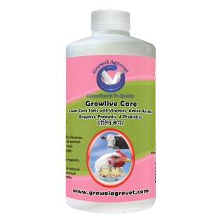Poultry : Growlive Care – Poultry : Liver Tonic with Vitamins, Amino Acids, Probiotics, and Liver Stimulants