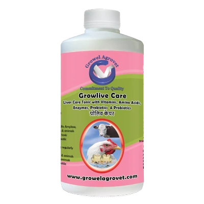 Poultry : Growlive Care – Poultry : Liver Tonic with Vitamins, Amino Acids, Probiotics, and Liver Stimulants