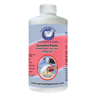 Poultry : Growlive Forte – A Powerful Poultry : Liver Tonic For Preventing Hepatic Disorders – Diseases, Better FCR, Growth, And Feed Intake