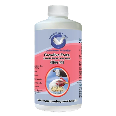 Poultry : Growlive Forte – A Powerful Poultry : Liver Tonic For Preventing Hepatic Disorders – Diseases, Better FCR, Growth, And Feed Intake