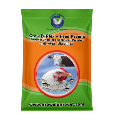 Poultry : Grow B-Plex – Feed Premix : Vitamins And Minerals Feed Premixes With 19 Compositions