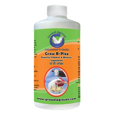 Poultry : Grow B-Plex – Vitamin B-Plex For Poultry : With 19 Vitamin E, Vitamin -C, Amino Acids And Minerals