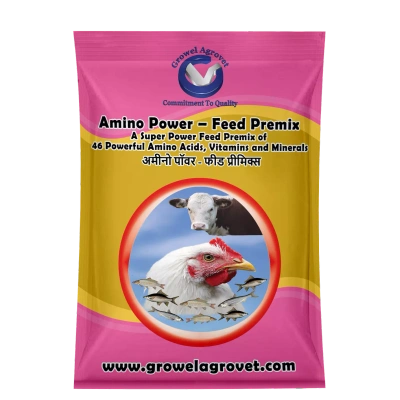Poultry : Amino Power- Feed Premix: A Super Power Feed Premix With 46 Amino Acids, Vitamins And Minerals