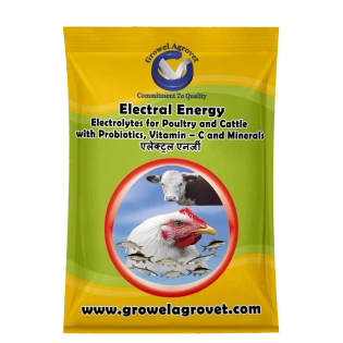 Poultry : Electral Energy – Electrolytes with Vitamins, Minerals And Probiotics