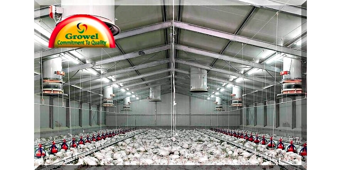 Beginners Guide To Poultry Housing System
