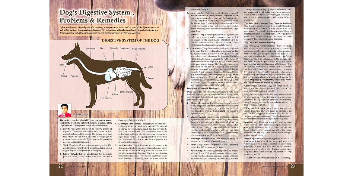 Dog’s Digestive System Problems & Remedies-Published In Pet ‘N’ Vet Magazine :Apr-May-19