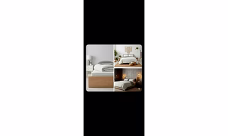 Comforter and Duvet