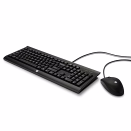 hp desktop keyboard and mouse combo (c2500)