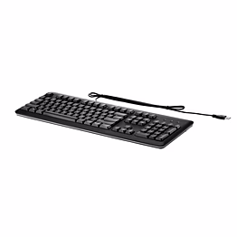hp usb keyboard for pc (qy776aa)