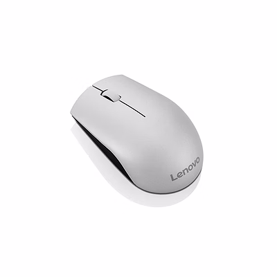 lenovo 520 wireless mouse (platinum)-gy50t83716