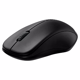 rapoo 1620 wireless mouse , 2.4 ghz with usb nano receiver, optical tracking, ambidextrous, pc/mac/laptop - black