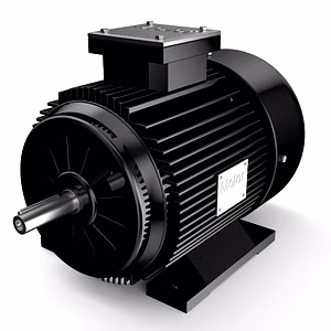 Electric Motors