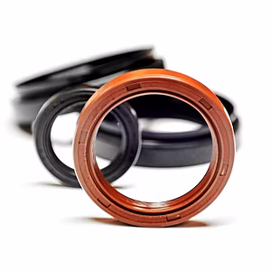 Oil Seals
