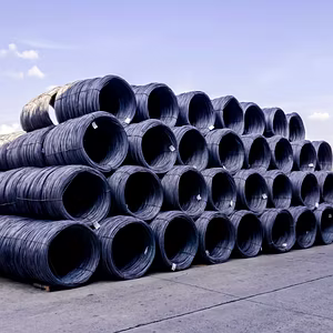 Carbon Steel Wire Rods & Wires