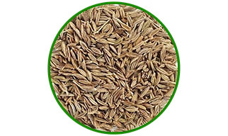 whole cumin seeds