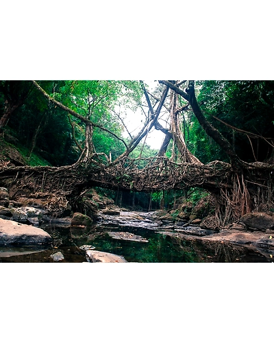 Shillong Package-2
