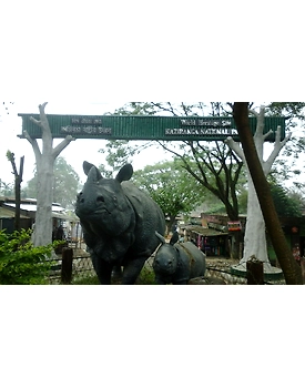 Kaziranga Package