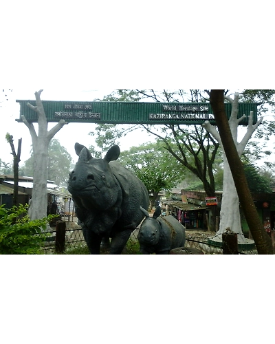 Kaziranga Package-KP100