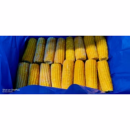 frozen sweet corn on cob