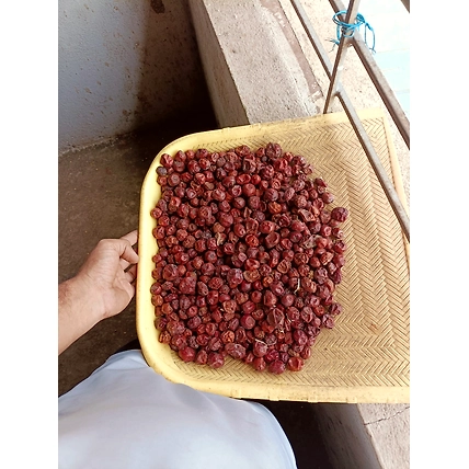 Dry Boroi-12652097