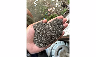 Chia Seeds – Natural, Nutrient-Rich, Indian Origin