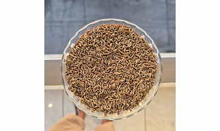Cumin Seeds – Machine Cleaned & Sortex Quality, Indian Origin