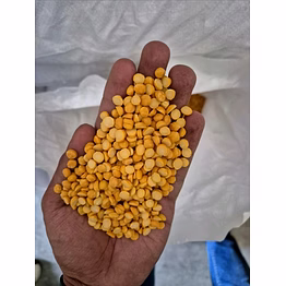 chana dal – premium split desi chickpeas, indian origin
