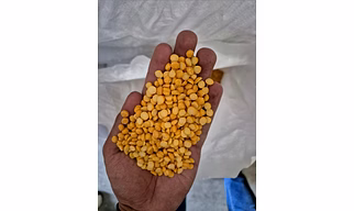 Chana Dal – Premium Split Desi Chickpeas, Indian Origin