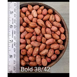 bold peanuts – high oil content, indian origin