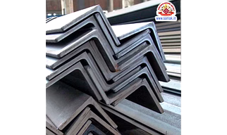 Stainless Steel Angle