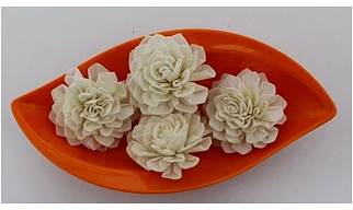 Sola Flower