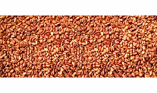 Red Brown Sesame Seeds