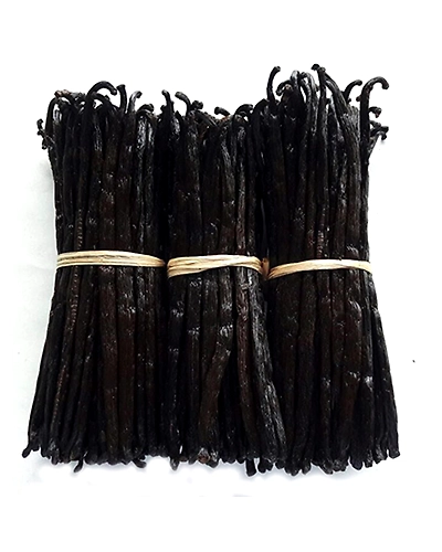 100% Organic Grade A Vanilla 5 - Pods-01