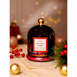 smiisenses holiday spirit 2-wick bell jar candle