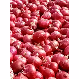 onion
