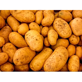 potato