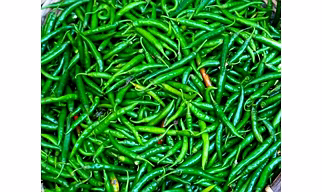 Green Chilli