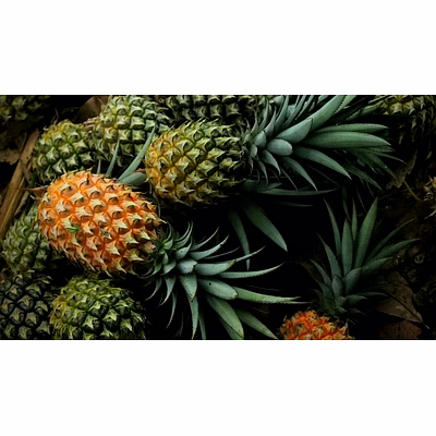 assam pineapple