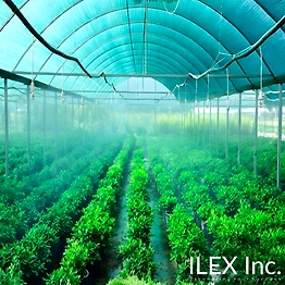 ILEX INC. AGRICULTURE SHADE NET