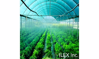AGRICULTURE SHADE NET