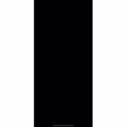jet black/ absolute black